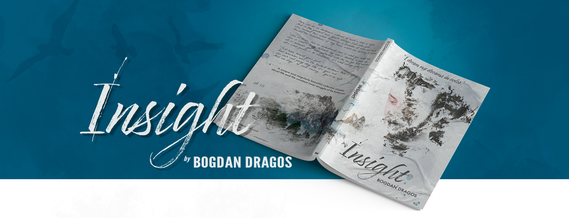 Insight: Book Cover Design - Bogdan Dragos Books